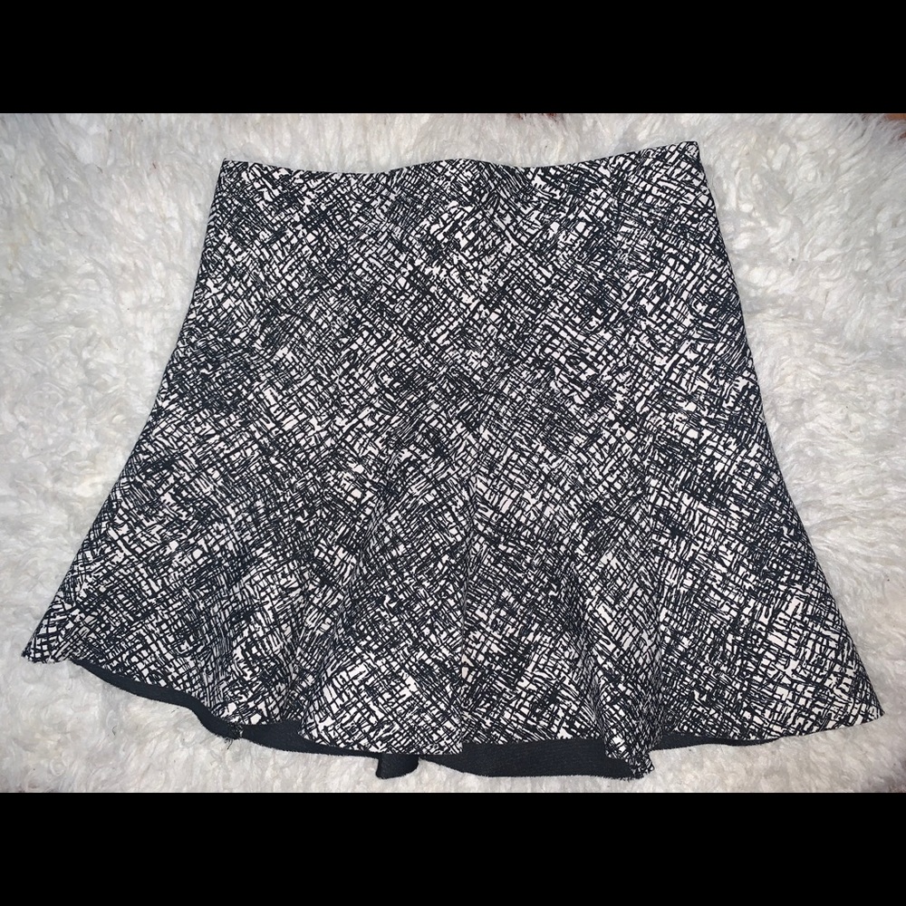 Zara skirt (brand new with tags)